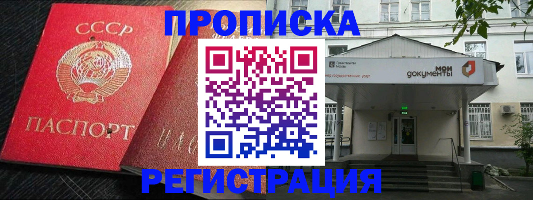 прописка в квартире в Камышлове